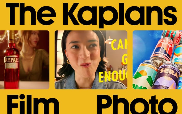 The Kaplans website preview