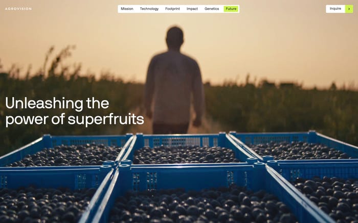 Agrovision website preview