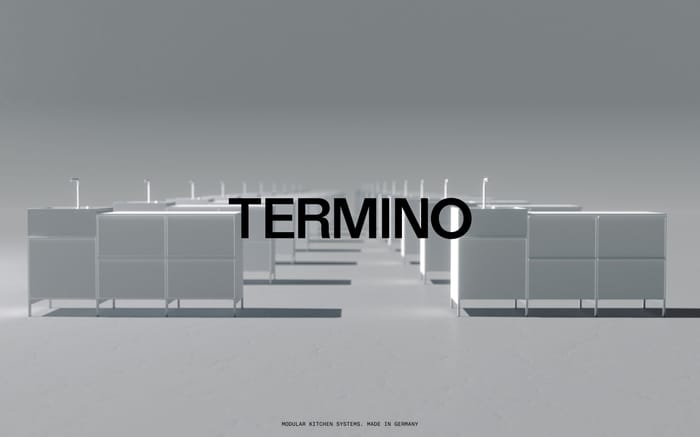 Termino website preview