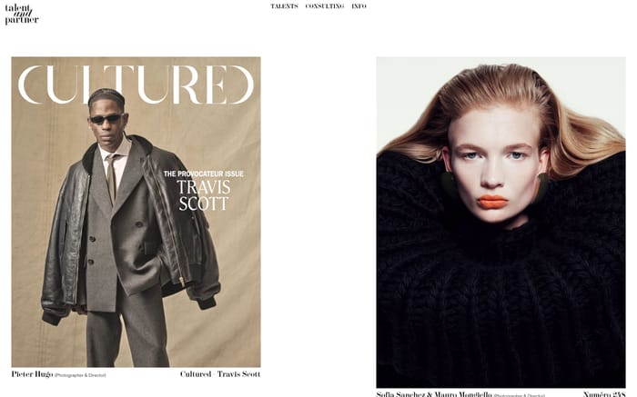 Talent and Partner website preview