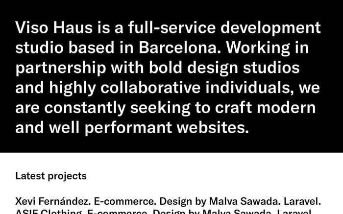 Viso Haus website preview