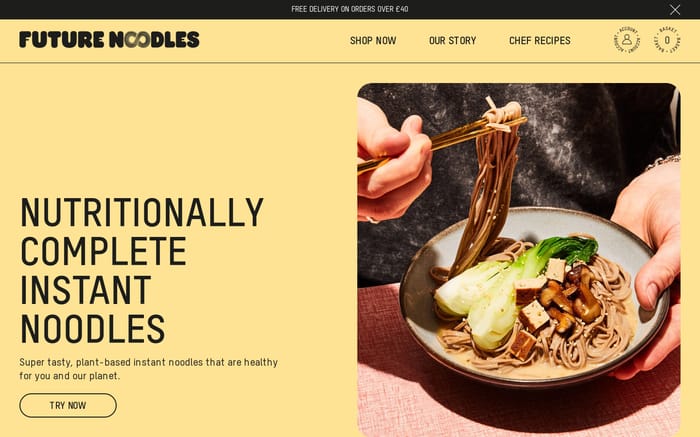 Future Noodles website preview
