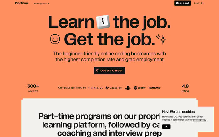 Practicum website preview