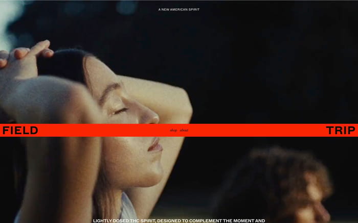 Field Trip website preview