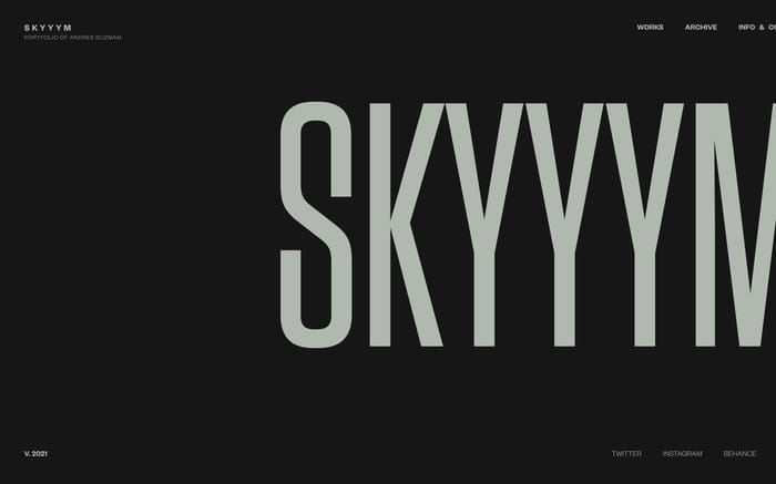 Skyyym website preview