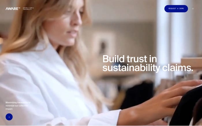 Aware website preview