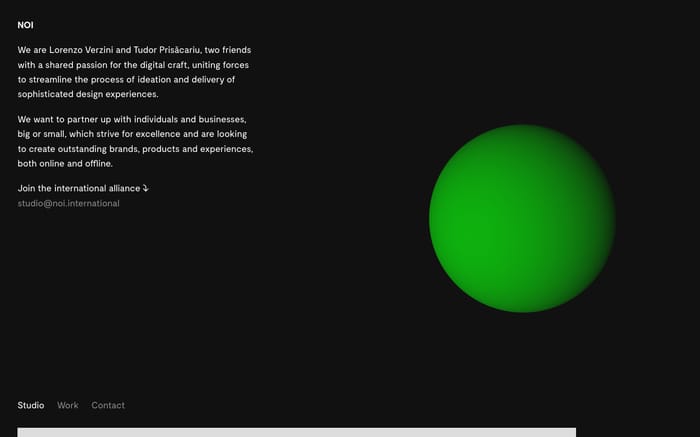 Noi website preview