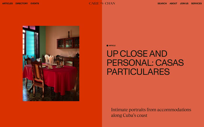 Care of Chan website preview