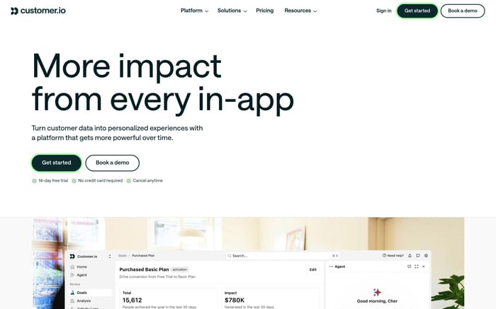 Customer website preview