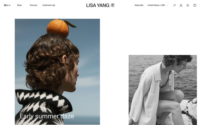 Lisa Yang website preview