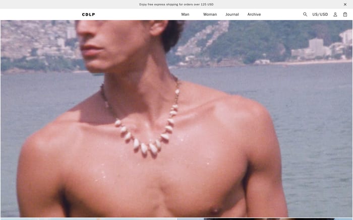 CDLP website preview