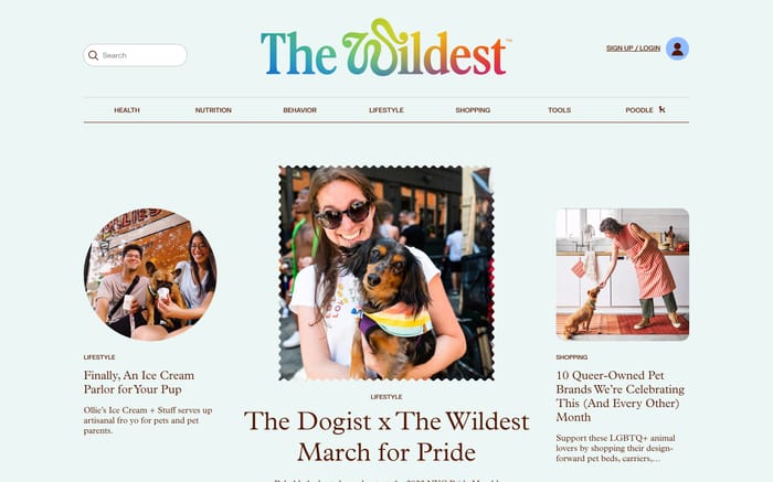 The wildest website preview