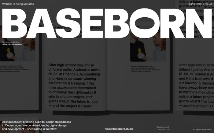 Baseborn website preview