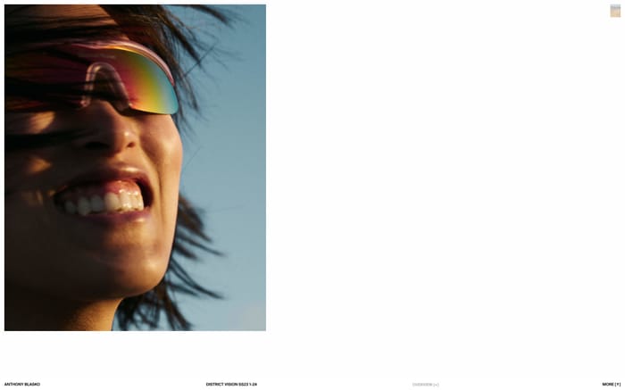 Anthony Blasko website preview