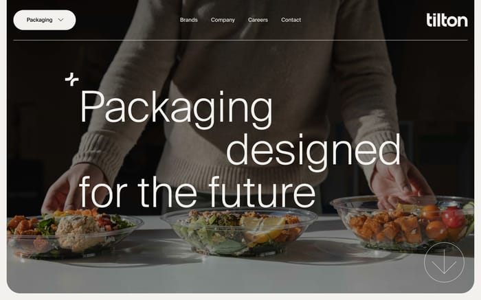 Tilton website preview