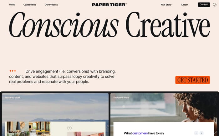 Paper Tiger website preview