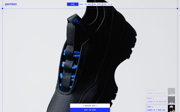 Permian website preview
