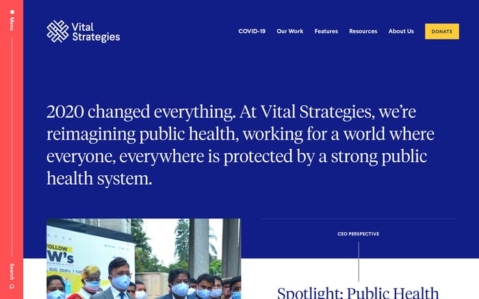 Vital Strategies website preview