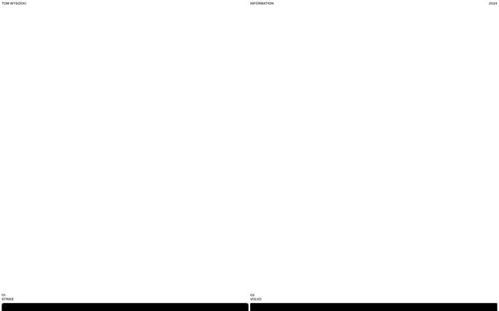 Tom Wysocki website preview