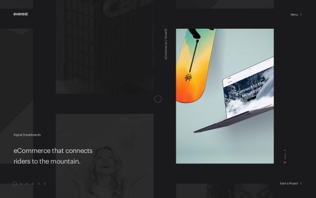 Everest website preview