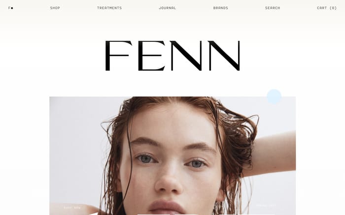 Fenn website preview