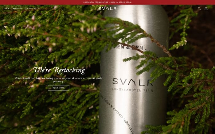 Svalr website preview