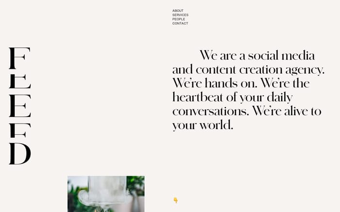 Feed social website preview