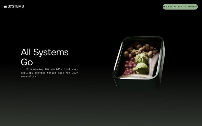 System website preview