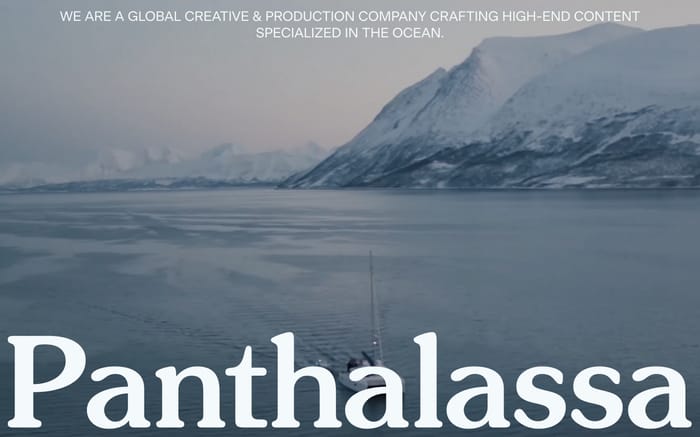 Panthalassa website preview