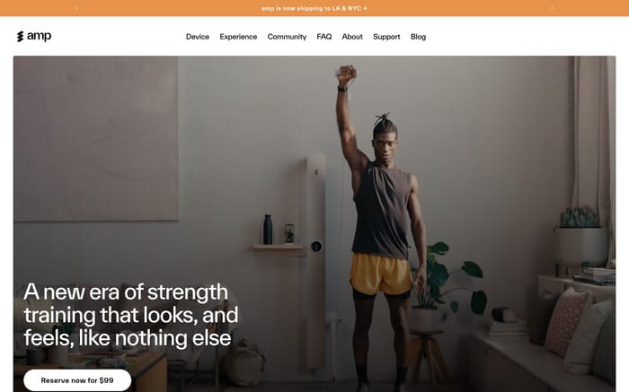 Amp website preview