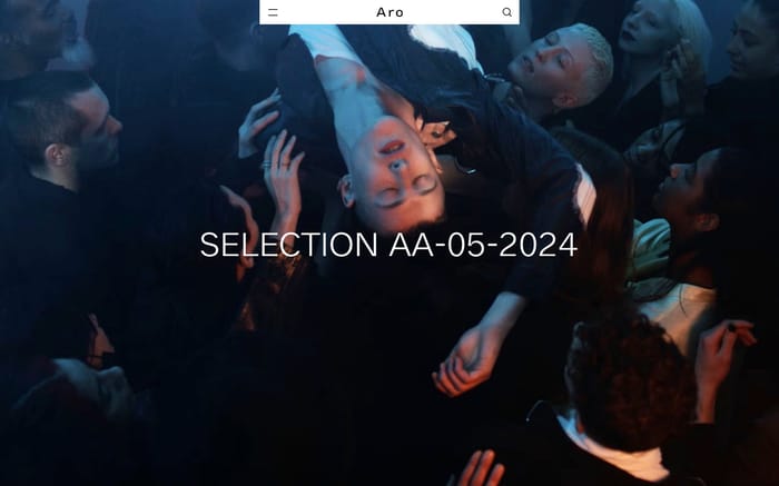 Aro Archive website preview