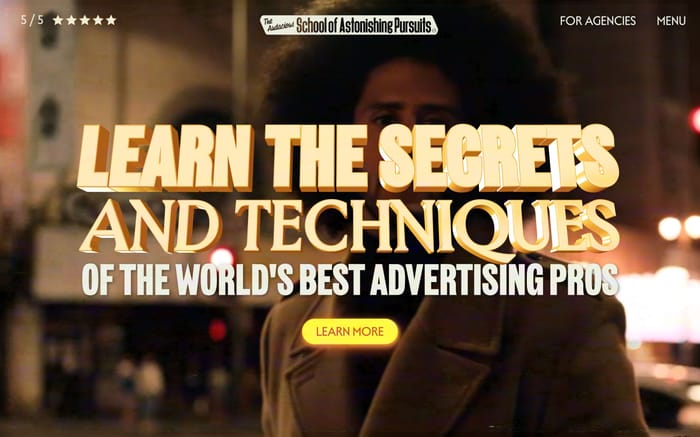 School of Astonishing Pursuits website preview