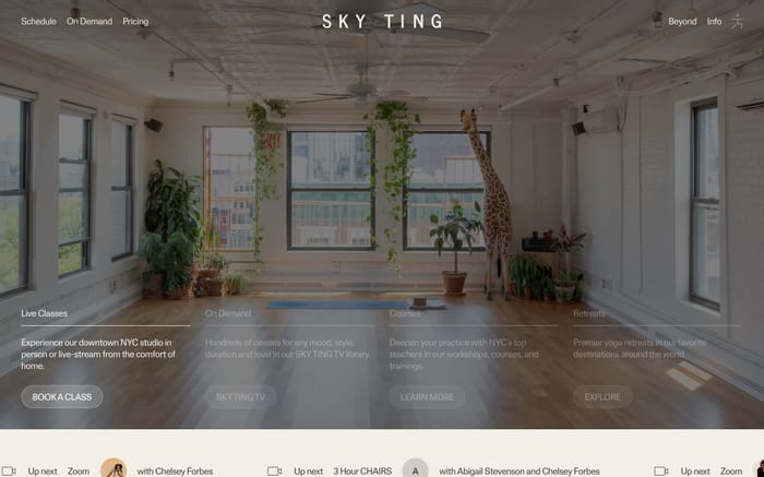 Skyting website preview