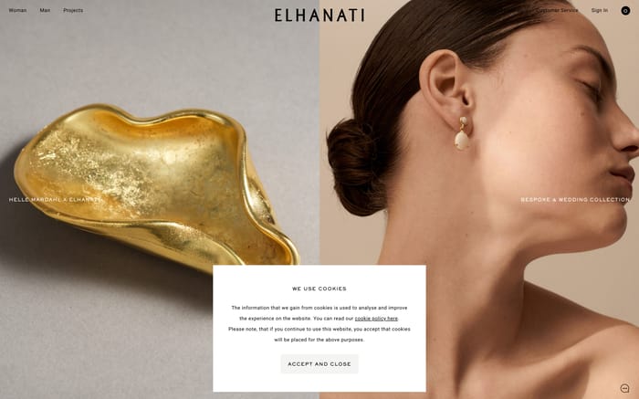 Elhanati website preview