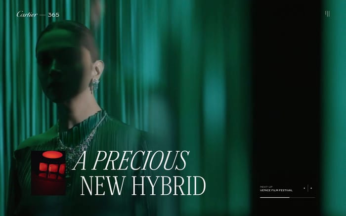 365 A Year of Cartier website preview