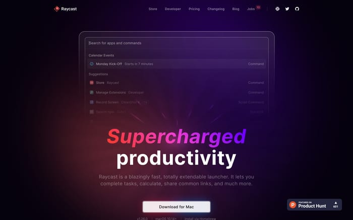 Raycast website preview