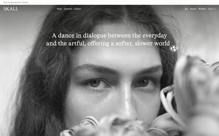 Skall Studio website preview