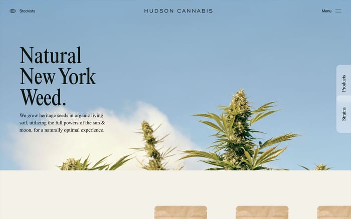 Hudson Cannabis website preview