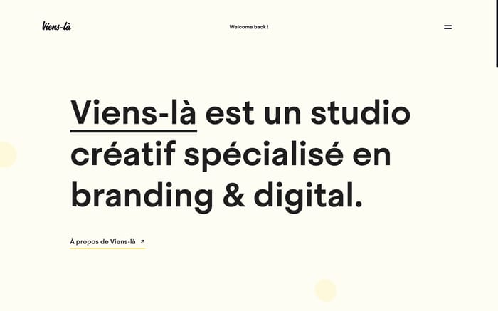Viens-la website preview