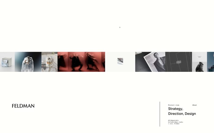 Feldman website preview