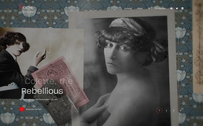 Roche Productions website preview