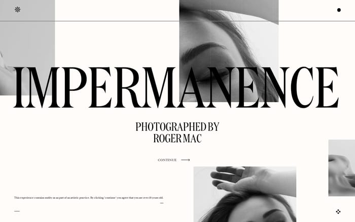 Impermanence website preview