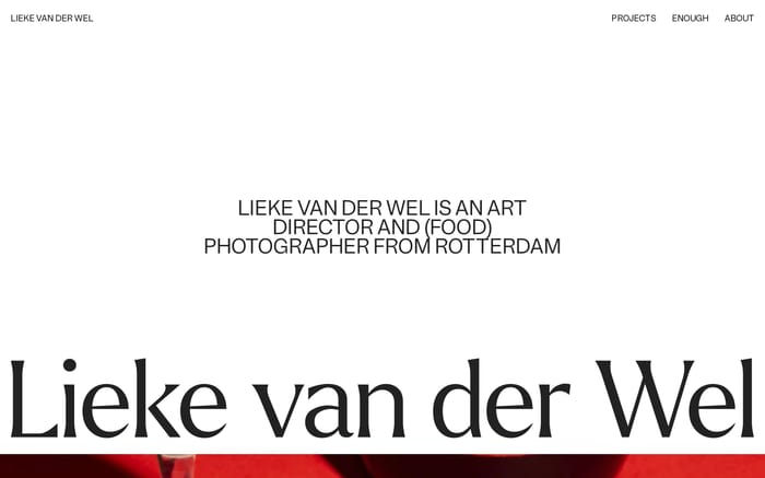 Lieke van der Wel website preview