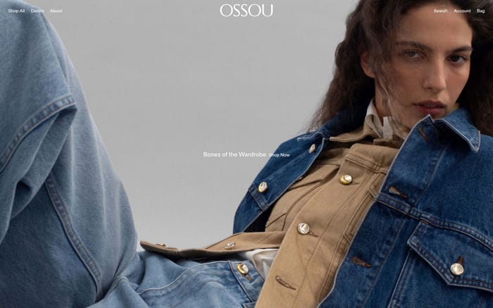 Ossou website preview
