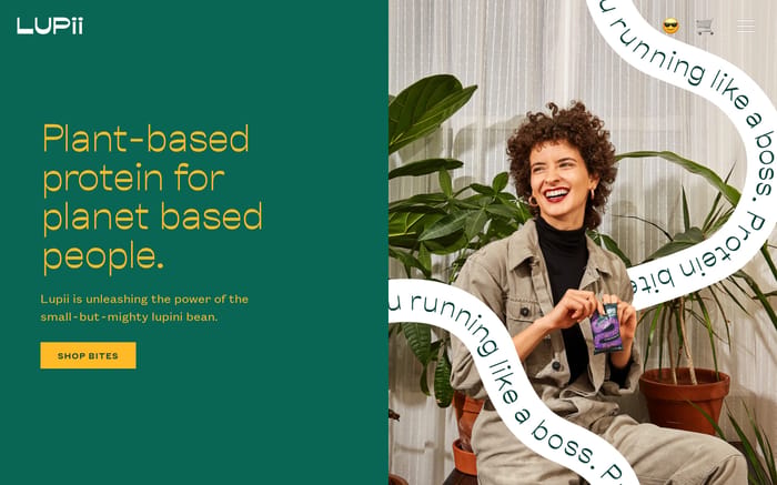 Lupii website preview