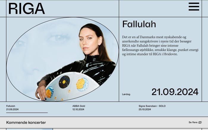 Riga website preview