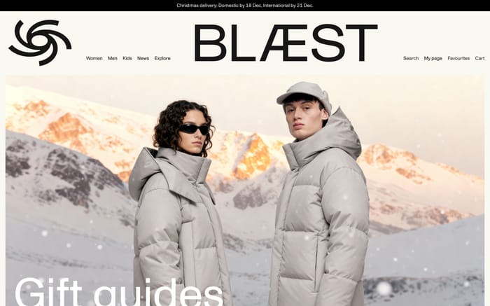 Blaest website preview