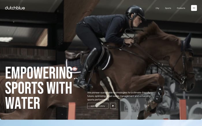 Dutchblue website preview