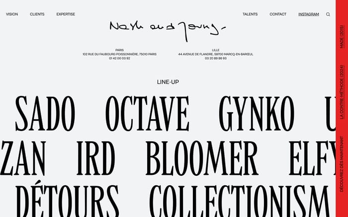 Nash and Young website preview