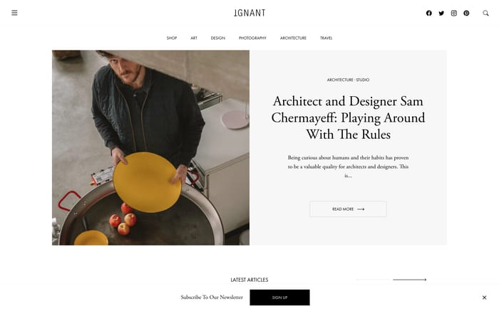 Ignant website preview